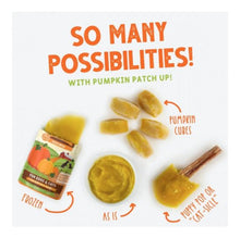 Load image into Gallery viewer, Weruva - Pumpkin Patch Up