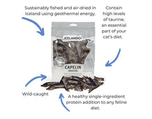 Load image into Gallery viewer, Icelandic+ Cat Treats - Whole Capelin 1.5oz
