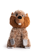 Load image into Gallery viewer, Fab Dog Toy - Fluffies
