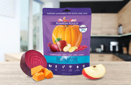 Grandma Lucy's Pumpkin Pouch