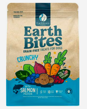 Load image into Gallery viewer, Earthborn Holistic - EarthBites
